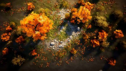 Autumn trees in the forest illustration orange