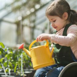 Little girl in wheelchair with watering can, taking care of plants in greenhouse