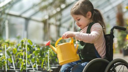 Little girl in wheelchair with watering can, taking care of plants in greenhouse
