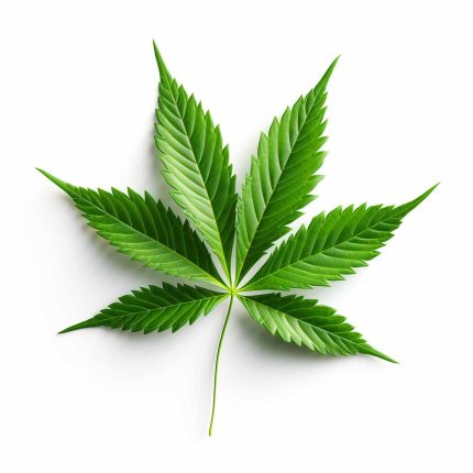 Marijuana Leaves plants addictive material