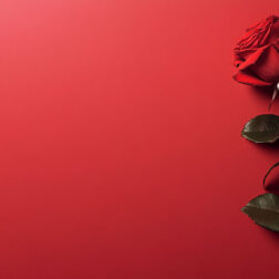 Red background with rose cover