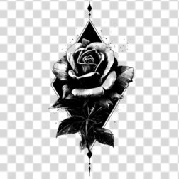 Rose flower triangle style PNG