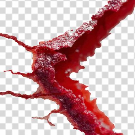 Bloody wound texture transparent png