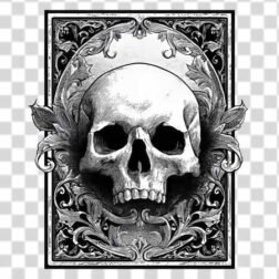 illustration of a human skull within an ornate, decorative frame transparent