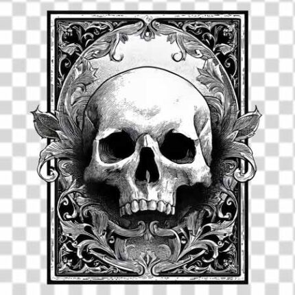 illustration of a human skull within an ornate, decorative frame transparent