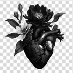 Dark heart and flower tattoo png in gothic style transparent