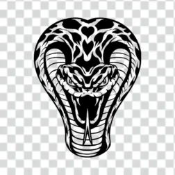 cobra's head in a striking pose in transparent background