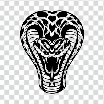 cobra's head in a striking pose in transparent background