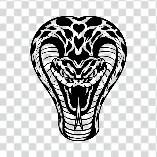 cobra's head in a striking pose cobra's head in a striking pose in transparent background